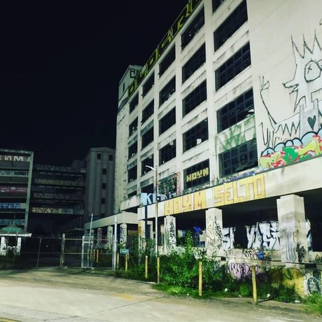 Kinkster Kitty Laika 限定モデル 写真