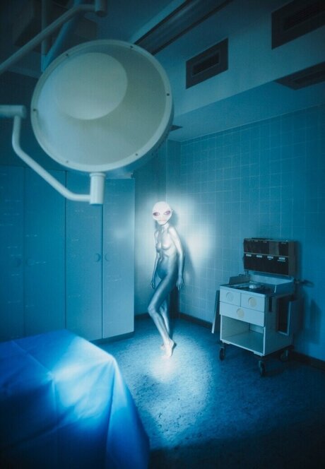 Tガールオンリーファン アートポルノ 写真