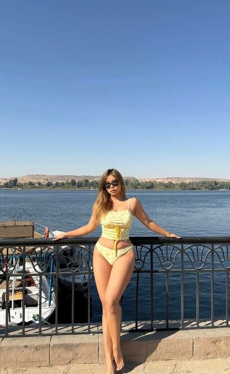 Cutelucia HDスター 写真