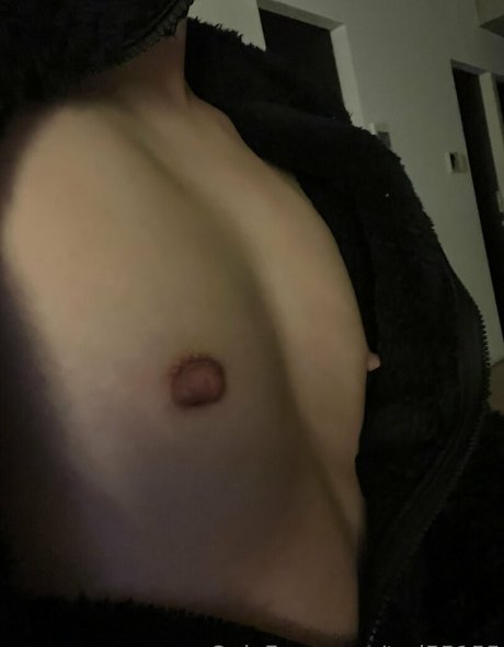 ted55155 アートスター 写真