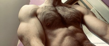 jmexhibitions セックスポルノスター 写真