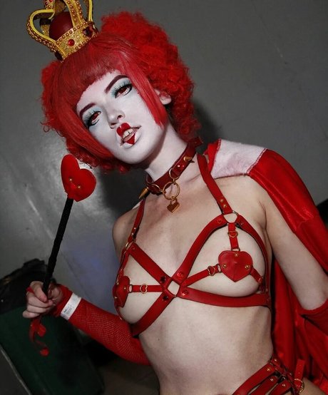 Quimeraax 素敵なスター ギャラリー