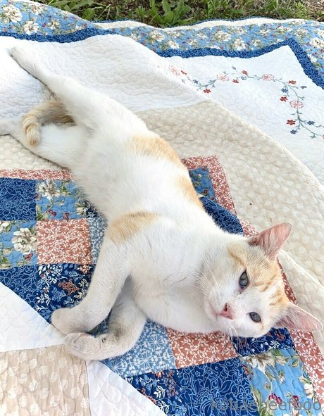 戦利品オンリーファンズ エロ 画像