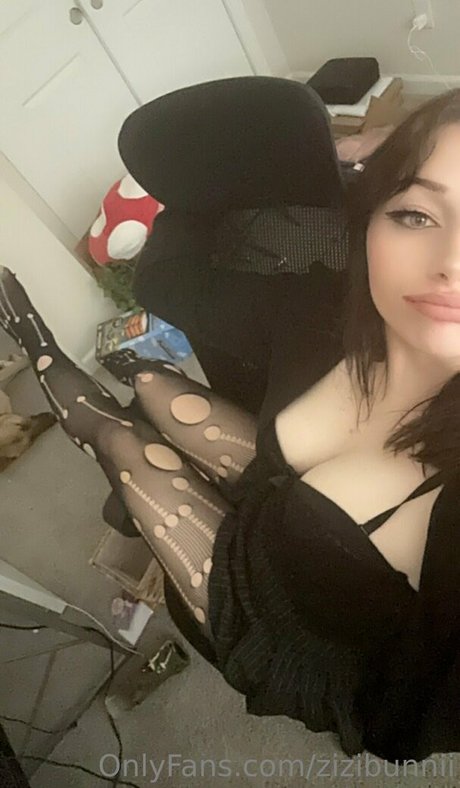 Zich Marie 限定スター 画像