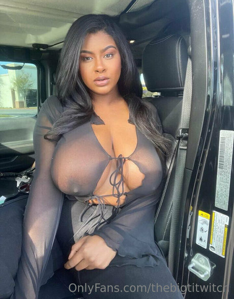 thebigtitwitch アートスター ギャラリー