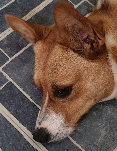 スキニーモデルオンリーファンズ アダルト無料 画像