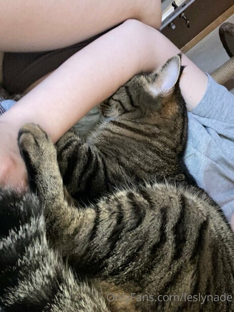 For you Lesly_ 美しいスター 写真