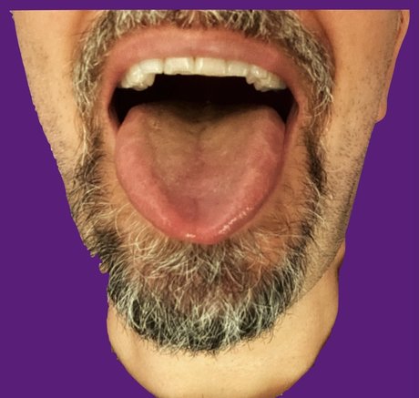 Legendary Sukker XL 高品質スター 写真