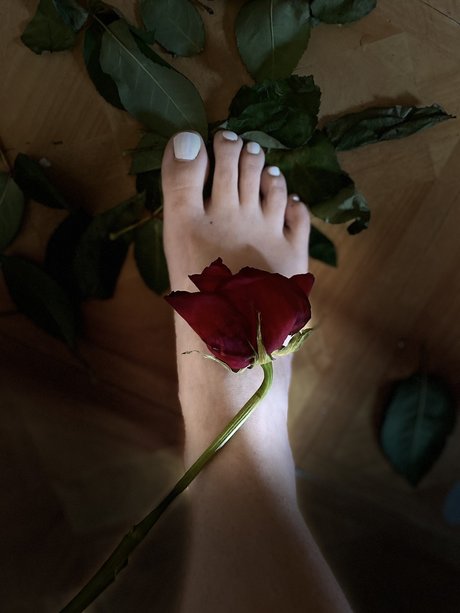 ブルネットのPOV オンリーファンズ えろ ギャラリー