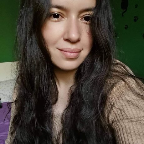 LizGis アートスター ギャラリー