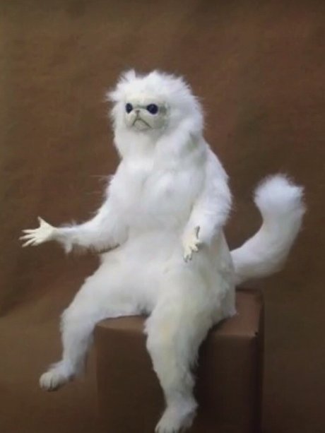 Mar Yay 完璧なスター 画像