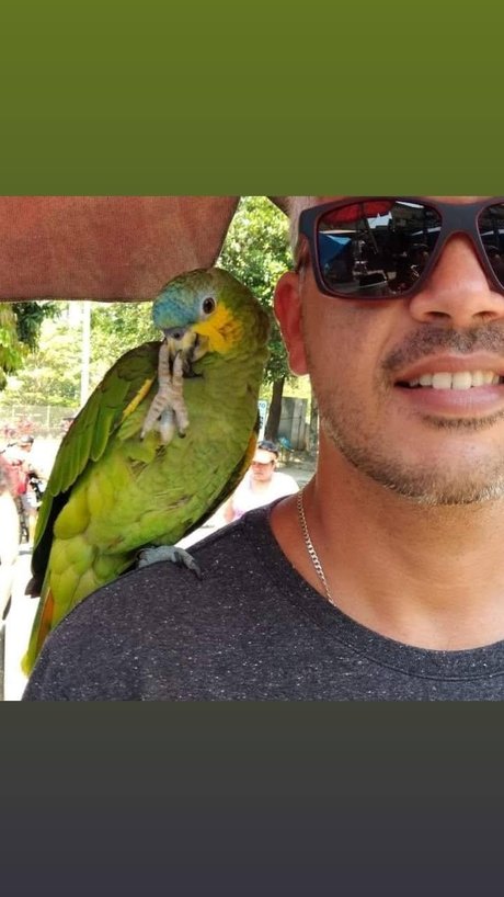 Marcello Rio de janeiro アートポルノスター 写真