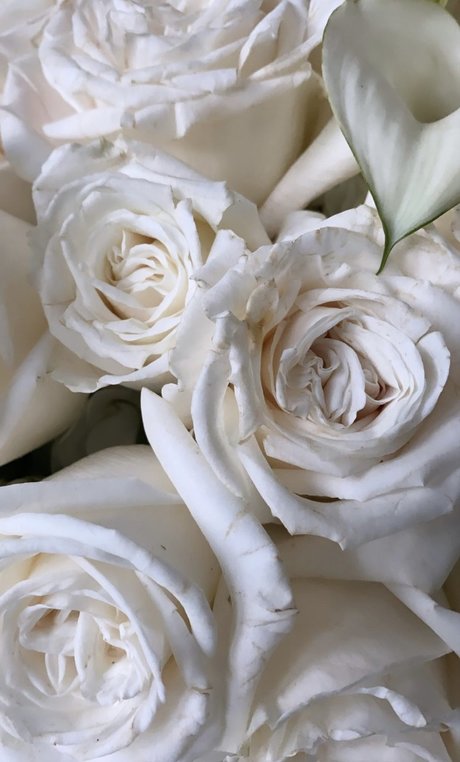 _helle xxxポルノスター ギャラリー