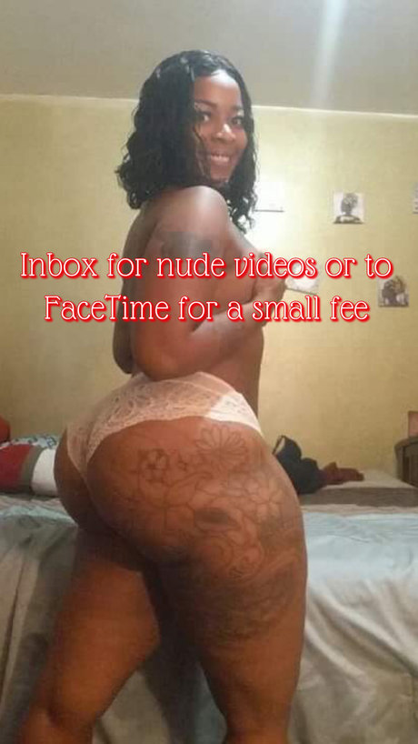 Meshalay janea 最高のスター ギャラリー