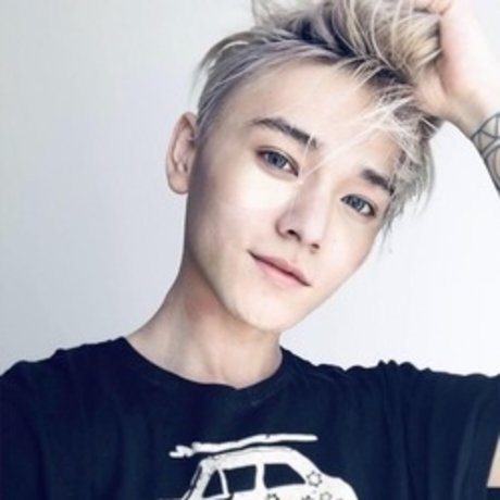 Eduard かわいいスター 画像