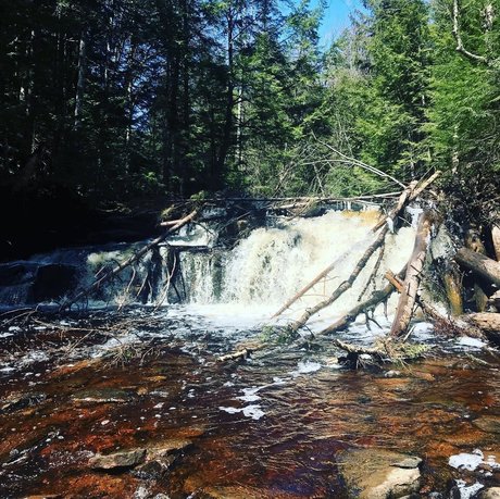 Emilio Medina ポルノスター ヌード ギャラリー