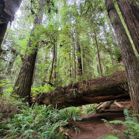 赤毛の痩せたオンリーファンズ 美しいxxx ギャラリー