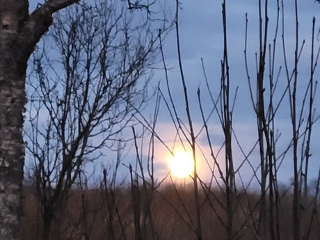 _PROMO Miss Shadow FREE 無料モデル 写真