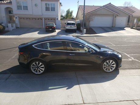 Missingno_ ポルノスター パーフェクト アーカイブ