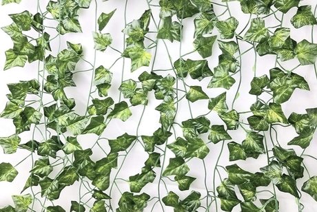 Care 独占女優 写真