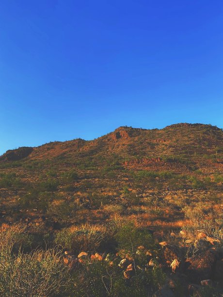 _Stella Rose_ ポルノスター ホット 写真