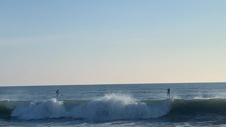 Naked on the board HDスター 画像