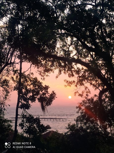 Natane Machado スター xxx 画像