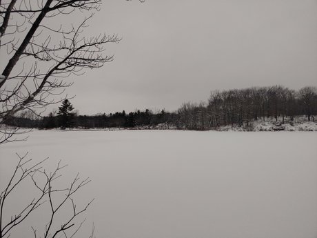 キムチオンリーファン アートポルノ 画像