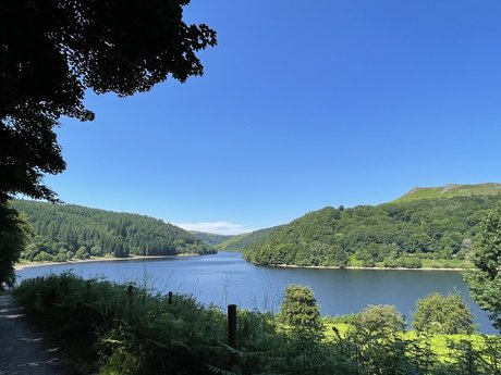 Morgs Olivia ポルノモデル ギャラリー