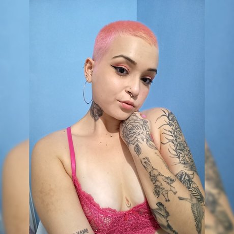 Naty Carv 無料スター 画像