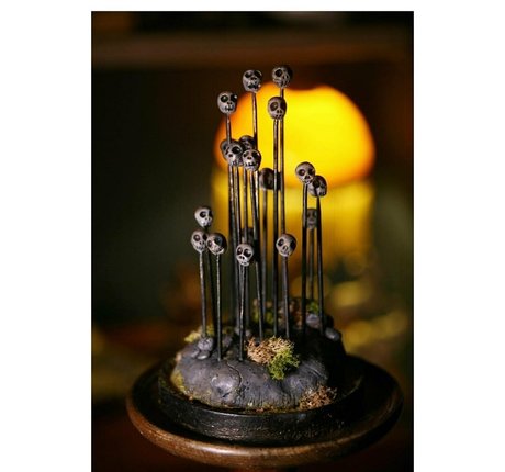 missnouveaux スター ヌード 画像