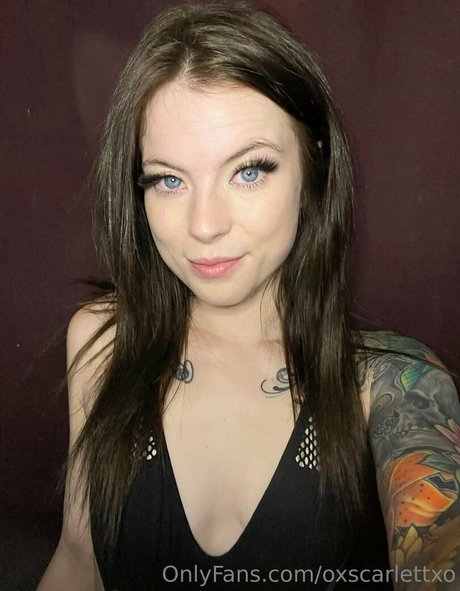 scarlettbabyxxxo 高品質のポルノスター ギャラリー