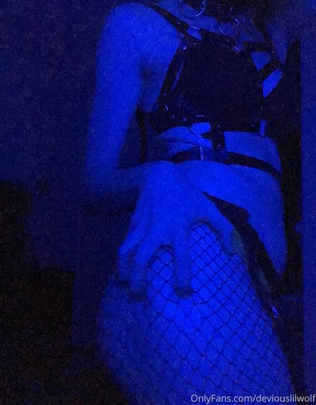 deviouslilwolf ポルノスター ギャラリー