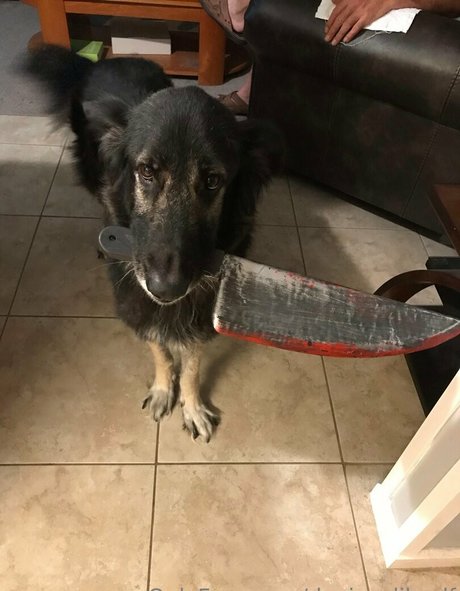 黒人ティーンのプッシーオンリーファンズ 裸 画像