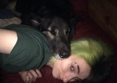 deviouslilwolf アートスター 写真