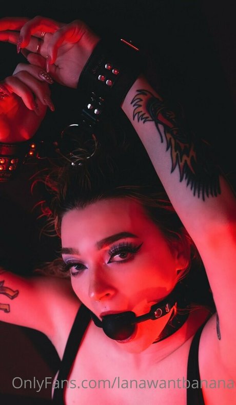 femboy lane ポルノモデル 写真