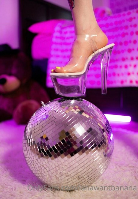 femboy lane トップスター 写真