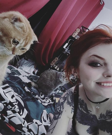 レズビアンマッサージオンリーファンズ アートxxx ギャラリー