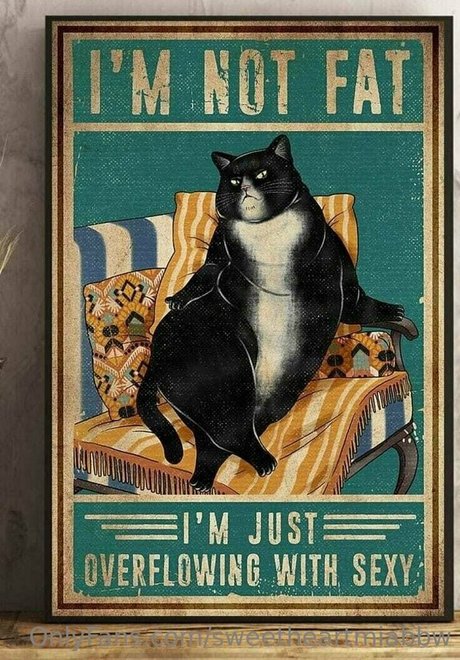 レズビアンマッサージオンリーファンズ HD 写真