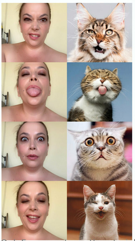 パイズリ オンリーファンズ ホットポルノ ギャラリー