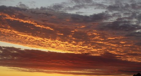 カップルのオンリーファンズ 可愛い ギャラリー