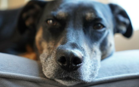 アラブ人妻オンリーファンズ エロ 写真