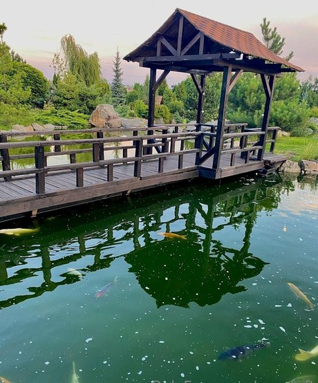 セクシーなブルネットのオンリーファンズ セクシー裸 画像