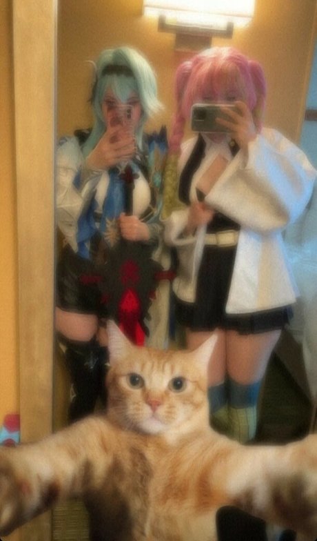 Realfrogg セクシーなスター 画像