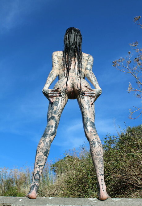 babyskeleton アートモデル 写真