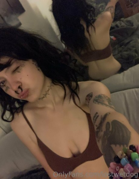 Lostwetdog 美しいスター 画像