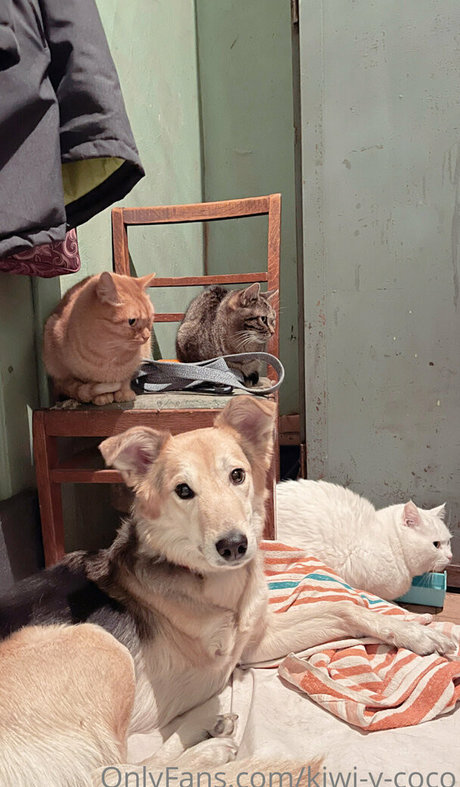 モンスターコックオンリーファンズ えろた 画像