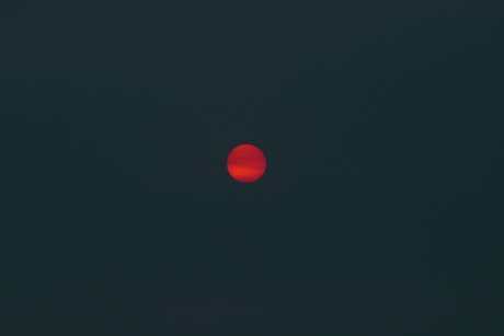 oddhoney 無料のスター アーカイブ