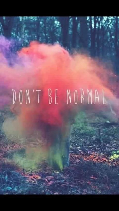 Megs_ スター 写真