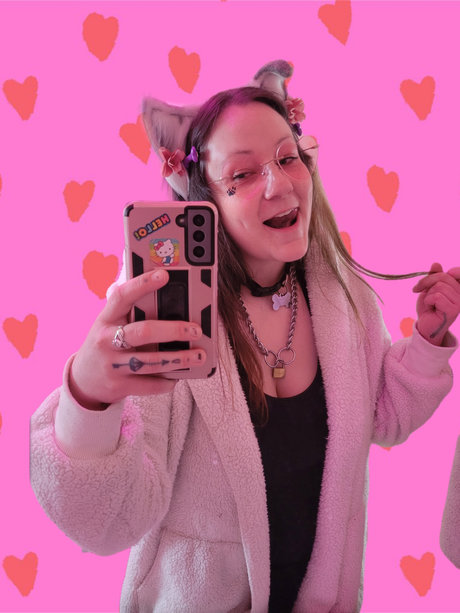 Chelsea The Puppy_ 美しいスター 画像